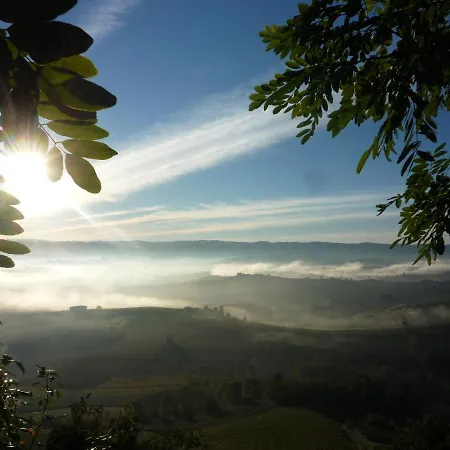 La Vigna Del Parroco Marrone B *